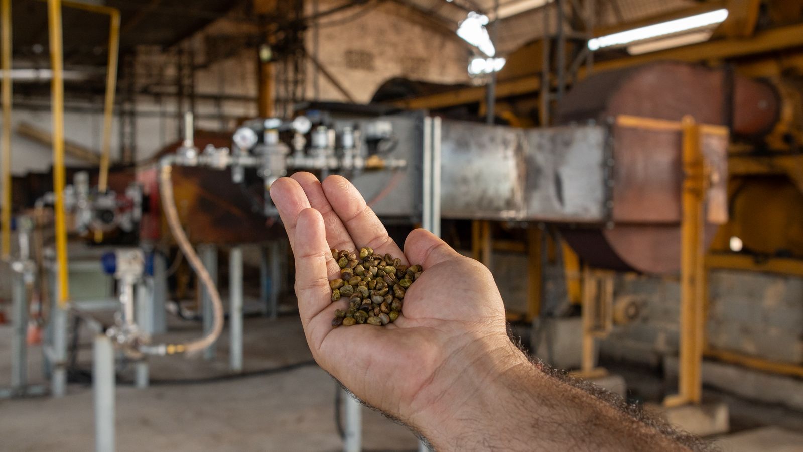 Vitória Coffee Summit vai apresentar projeto inédito no Brasil que testa gás natural na secagem do café