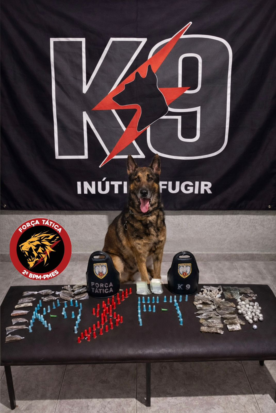 Operação do 2º BPM apreende drogas em Nova Venécia