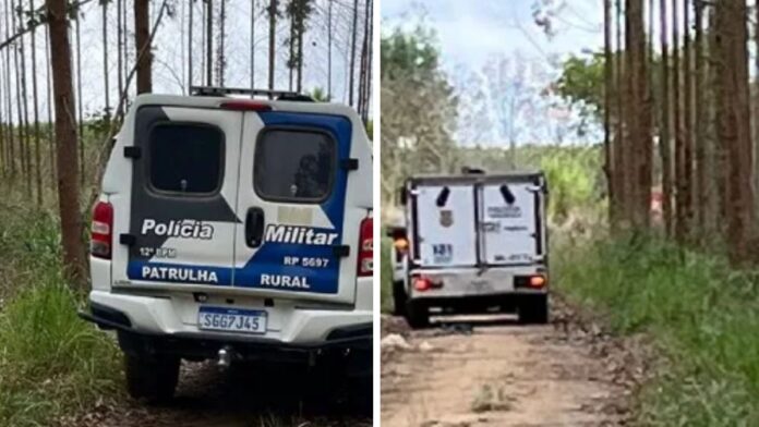 Homem desaparecido é encontrado morto em plantação de eucalipto em Sooretama