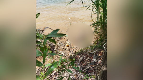 Corpo em decomposição é encontrado às margens do Rio Doce em Baixo Guandu