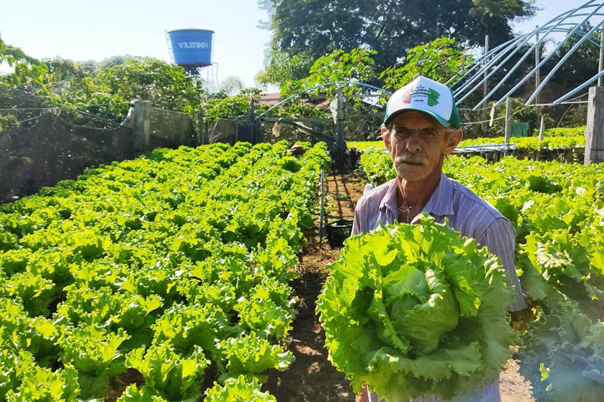 Arranjos Produtivos insere produtores rurais no mercado de crédito de carbono