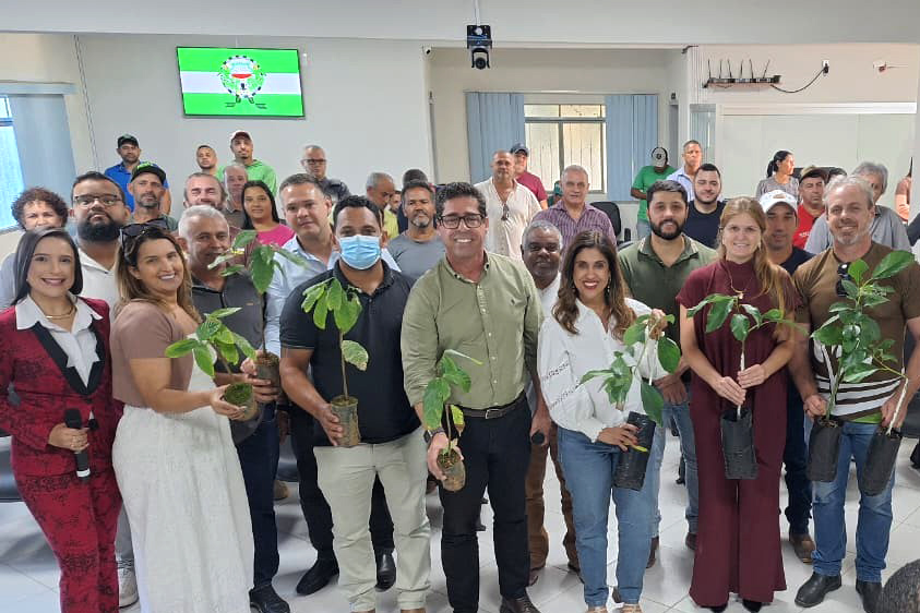 Produtores de Alto Rio Novo recebem 2,5 mil mudas de abacate e cacau