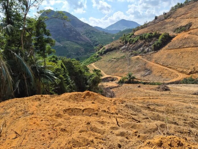 Polícia Ambiental flagra desmatamento equivalente a cinco campos de futebol em Água Doce do Norte