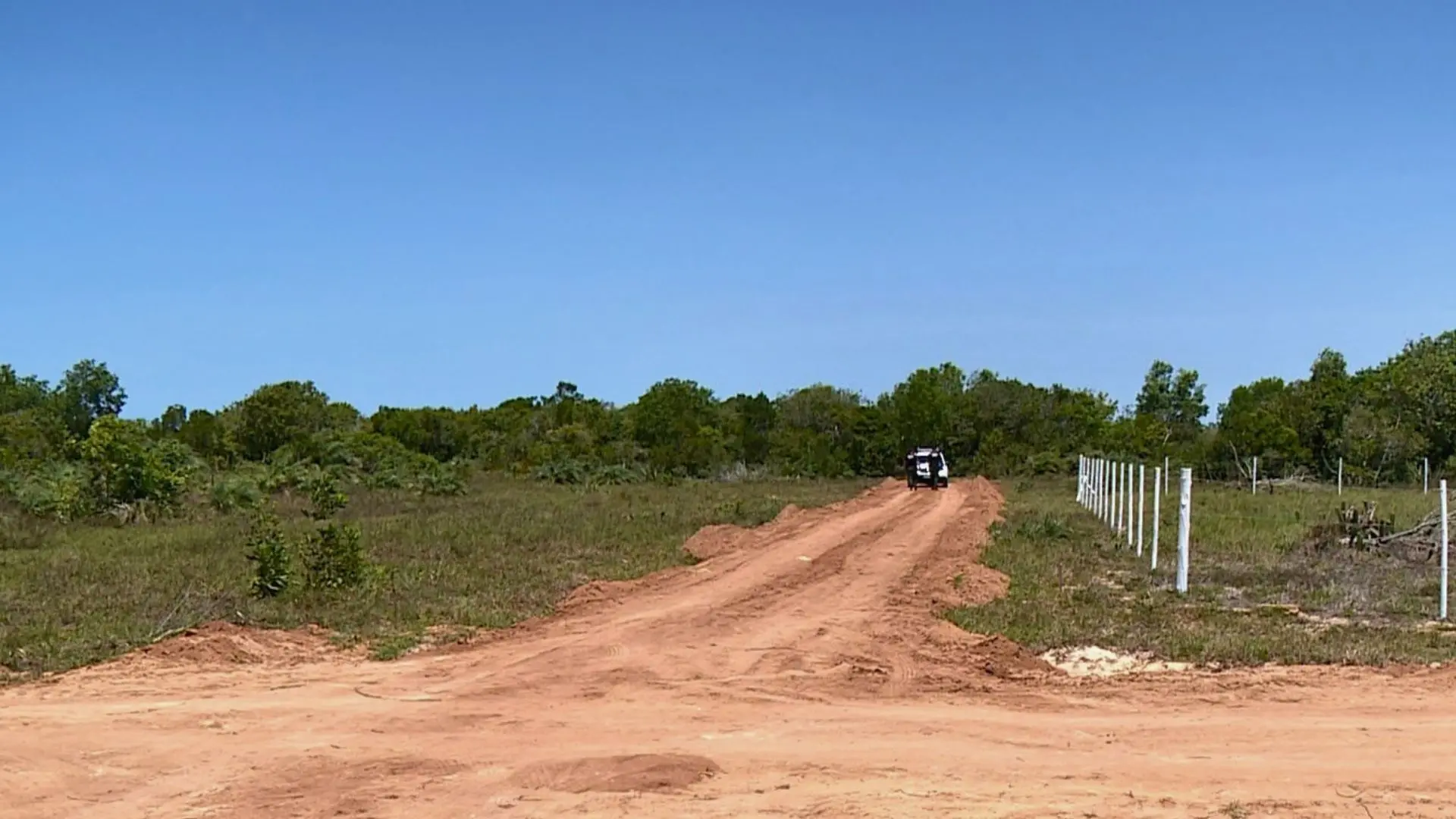 Corpo de idosa desaparecida foi encontrado em área de mata em São Mateus