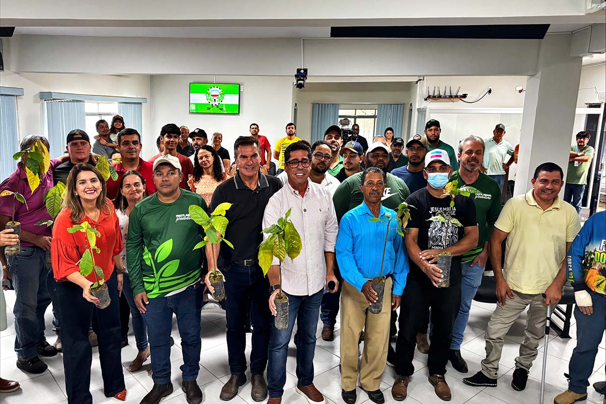 Arranjos Produtivos entrega 6,2 mil mudas de cacau em Alto Rio Novo
