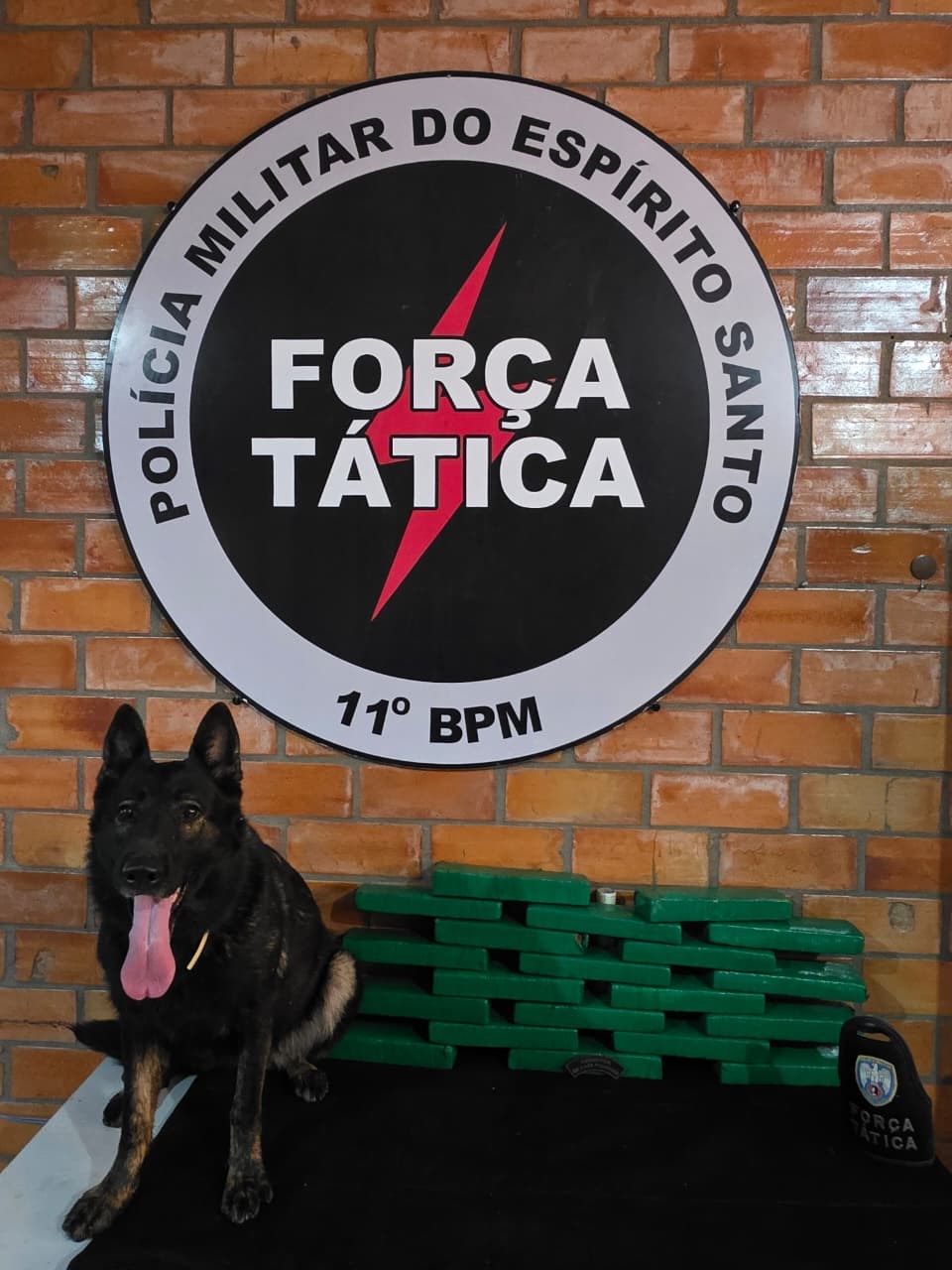 PM apreende quantidade expressiva de maconha em Água Doce do Norte