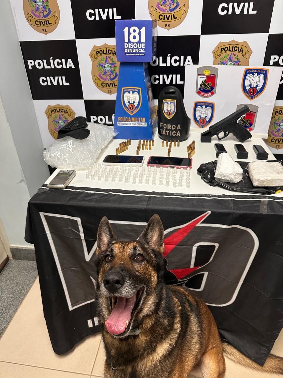 Operação conjunta em Pinheiros resulta em prisão e apreensão de drogas e arma de fogo