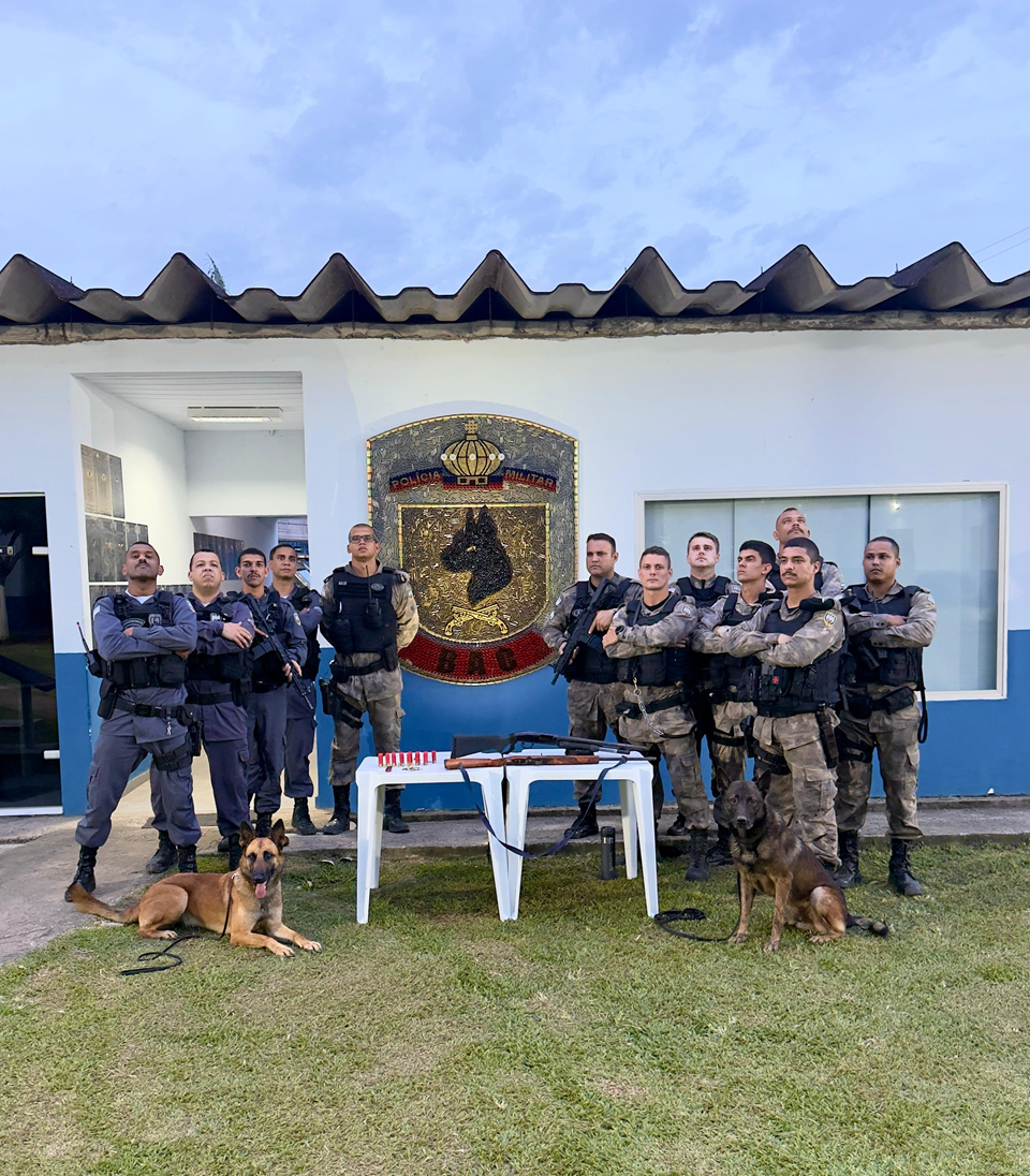 Batalhão de Ações com Cães registra aumento de quase 80% no número de armas de fogo apreendidas em 2025