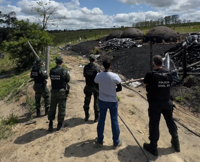 Polícia apreende duas toneladas de carvão ilegal e interdita fornos em Conceição da Barra