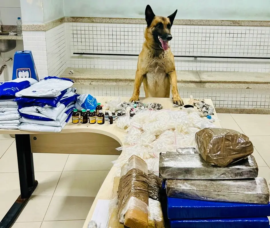 Guarda Municipal apreende mais de 20 kg de cocaína em área de mata em Cariacica