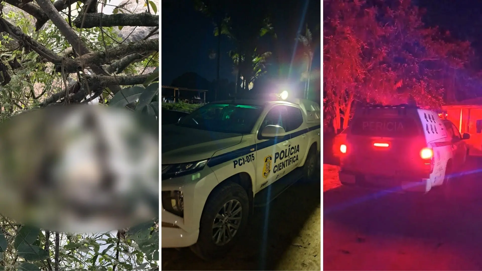 Dupla é presa por matar homem e abandonar corpo às margens de rio no ES