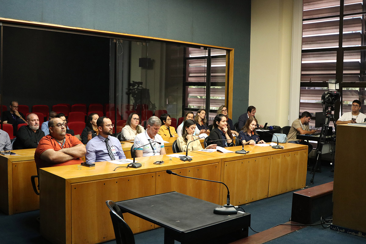 Comissão especial aprova plano de trabalho junto a consórcios
