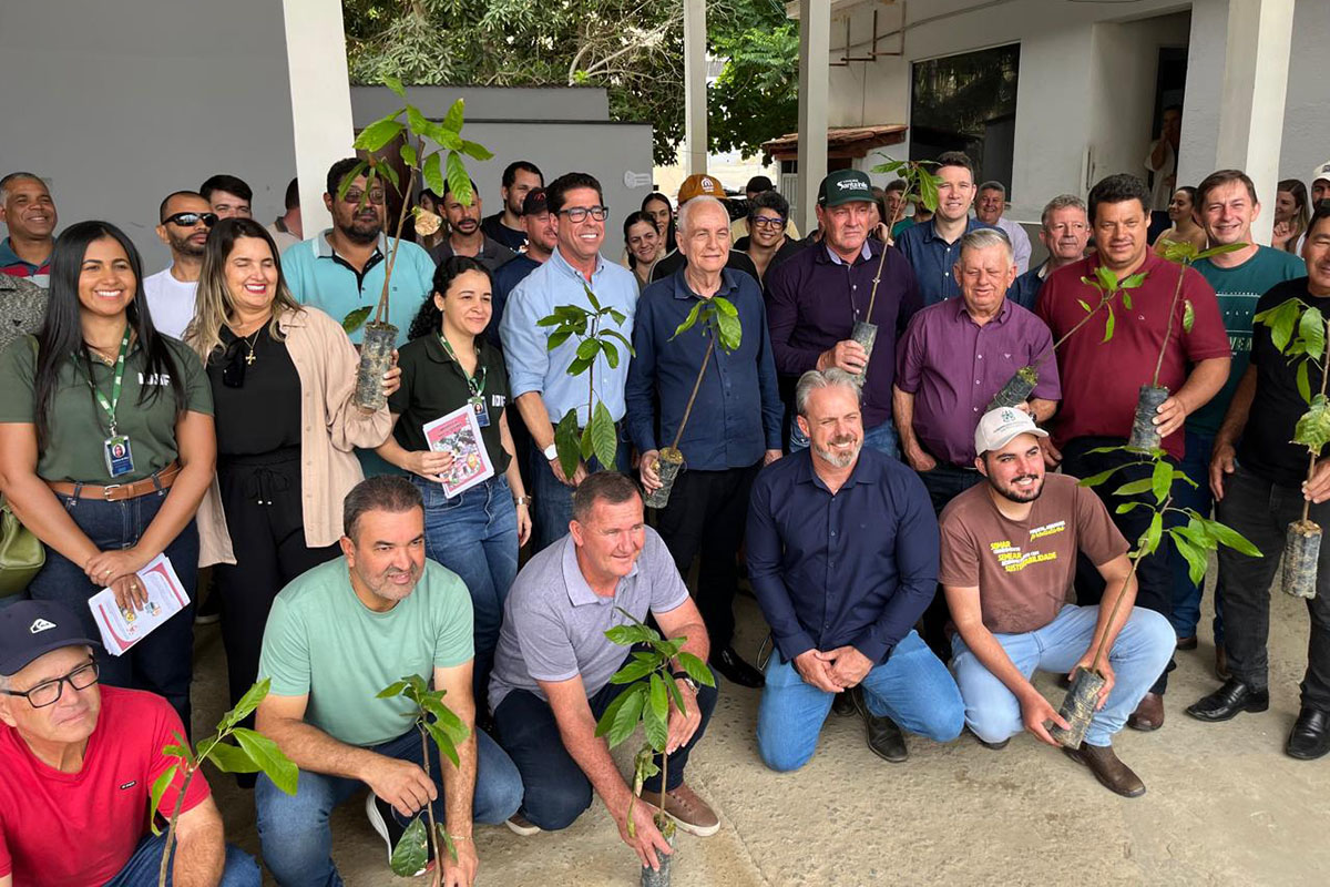 Produtores de Vila Pavão recebem mais 1.500 mudas de cacau