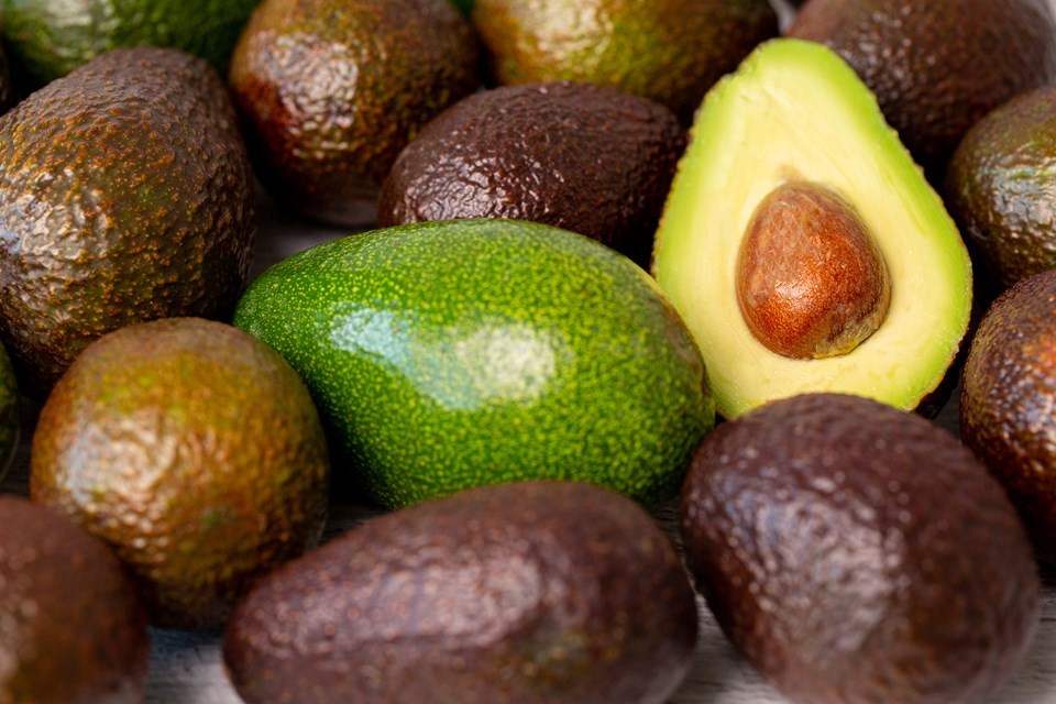 Espírito Santo se consolida como 4º maior produtor de abacate do Brasil e dobra valor da produção em um ano