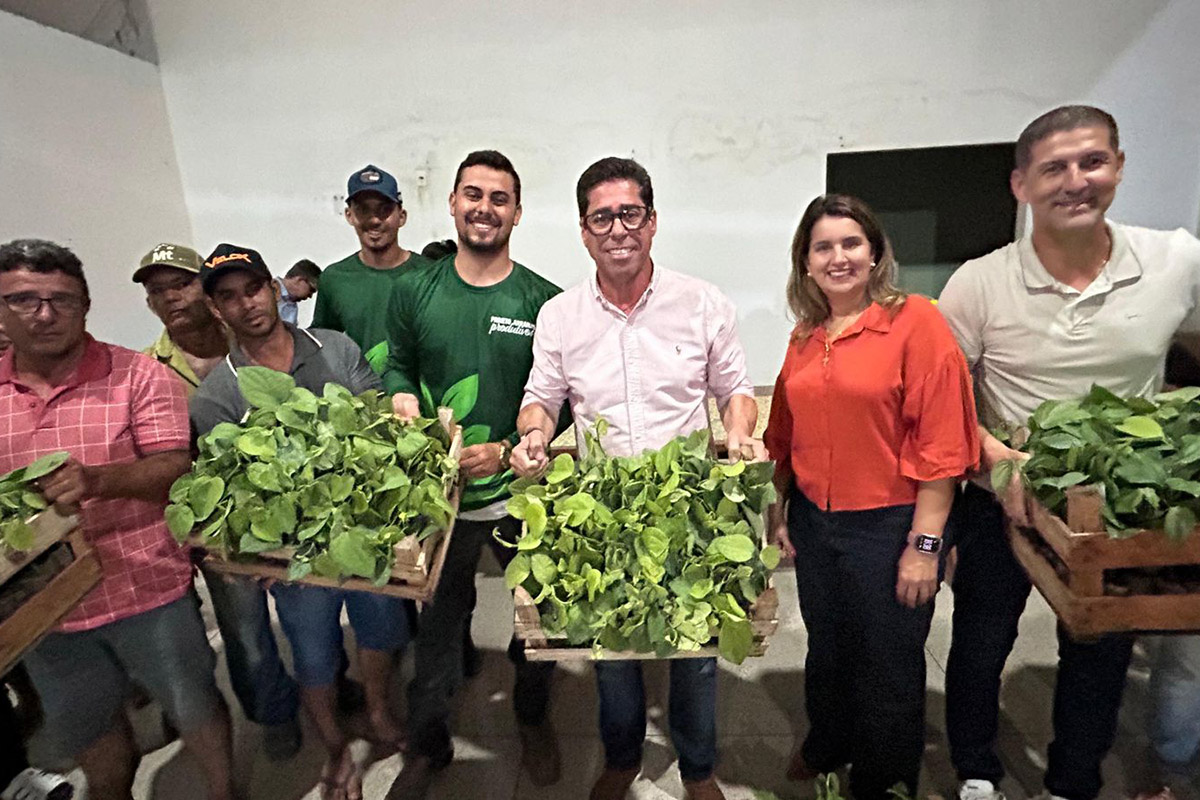Arranjos Produtivos entrega mudas de banana e pimenta no norte