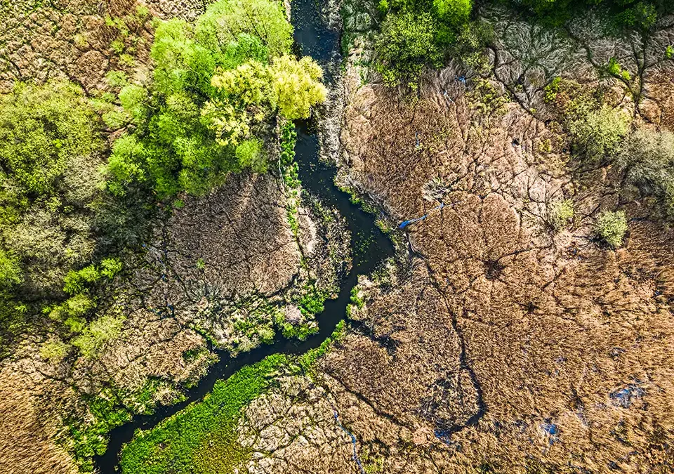 Temperaturas acima da média e seca moderada. Veja os efeitos que o ES já registrou por conta do El Niño 
