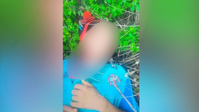 Assassinato em plantação de café quebra jejum de 366 dias sem homicídios em Boa Esperança