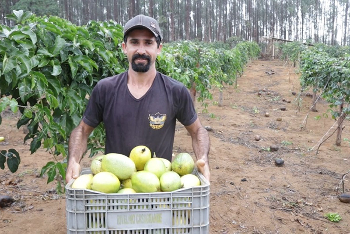 Arranjos Produtivos mostra resultados no Festival da Colheita de Itapemirim