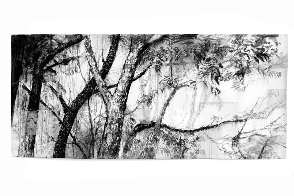 Artista capixaba Fernando Augusto expões trabalhos da série ‘Paisagens Amazônicas’, na França