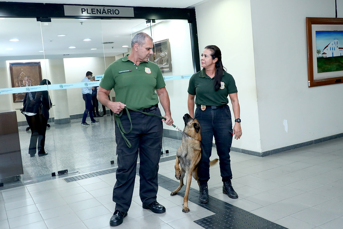 Concurso da Ales: veja os cargos e remunerações em disputa