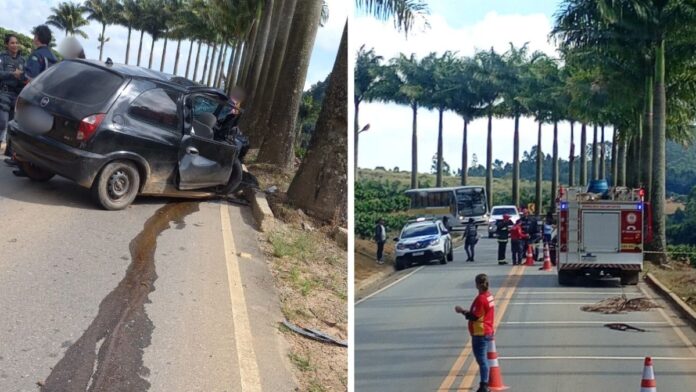 Motorista morre após carro bater em árvore na rodovia ES 261 em Santa Maria de Jetibá