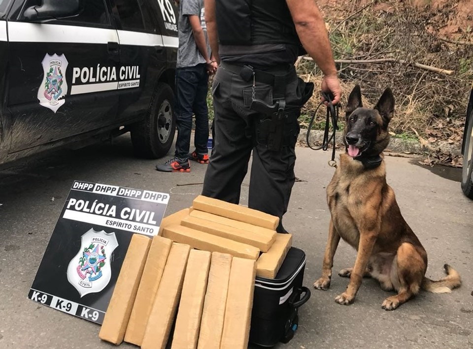 Zack, primeiro cão do DEHPP, morre vítima de um câncer nos pulmões