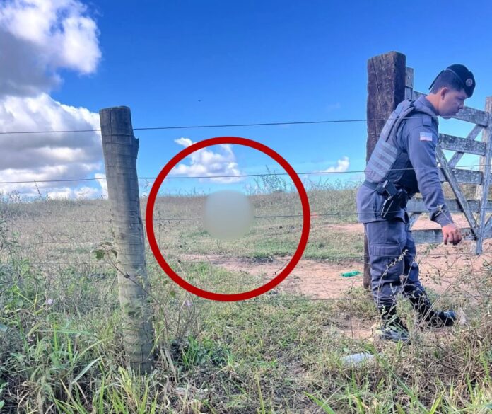 Homem é encontrado morto a pauladas e pedradas em pasto no Norte do ES