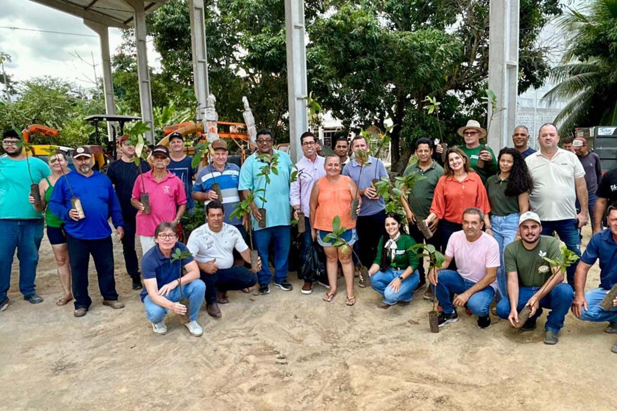 Agricultores de Vila Pavão recebem 2 mil mudas de cacau