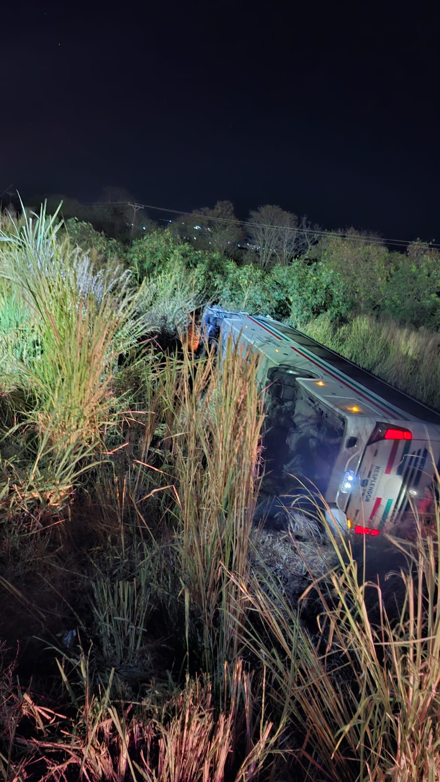 Ônibus de prefeitura mineira tomba e motorista morre na volta de faculdade na BR 259 em Baixo Guandu