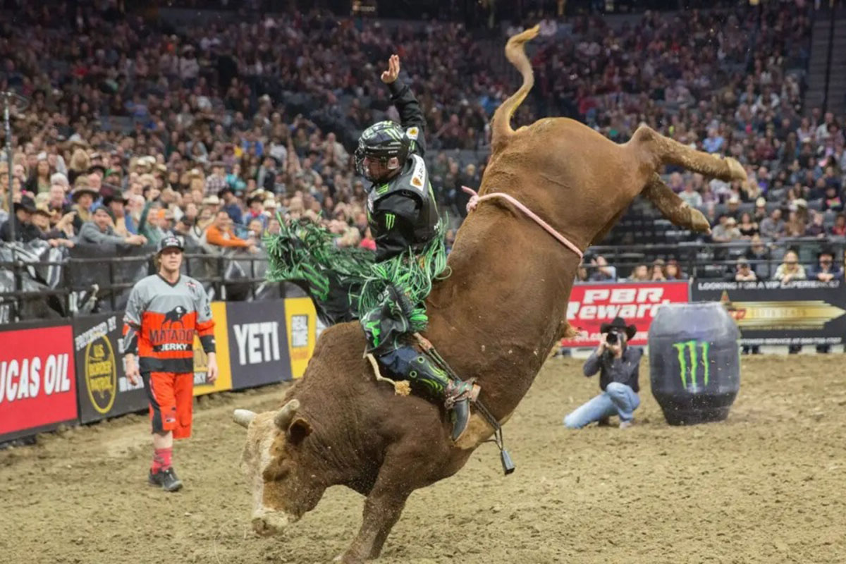 Espírito Santo ganha data oficial para celebrar rodeios