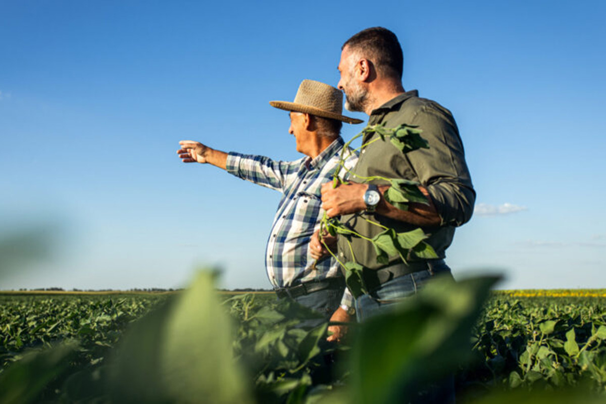 Projeto de lei incentiva sucessão familiar na agricultura