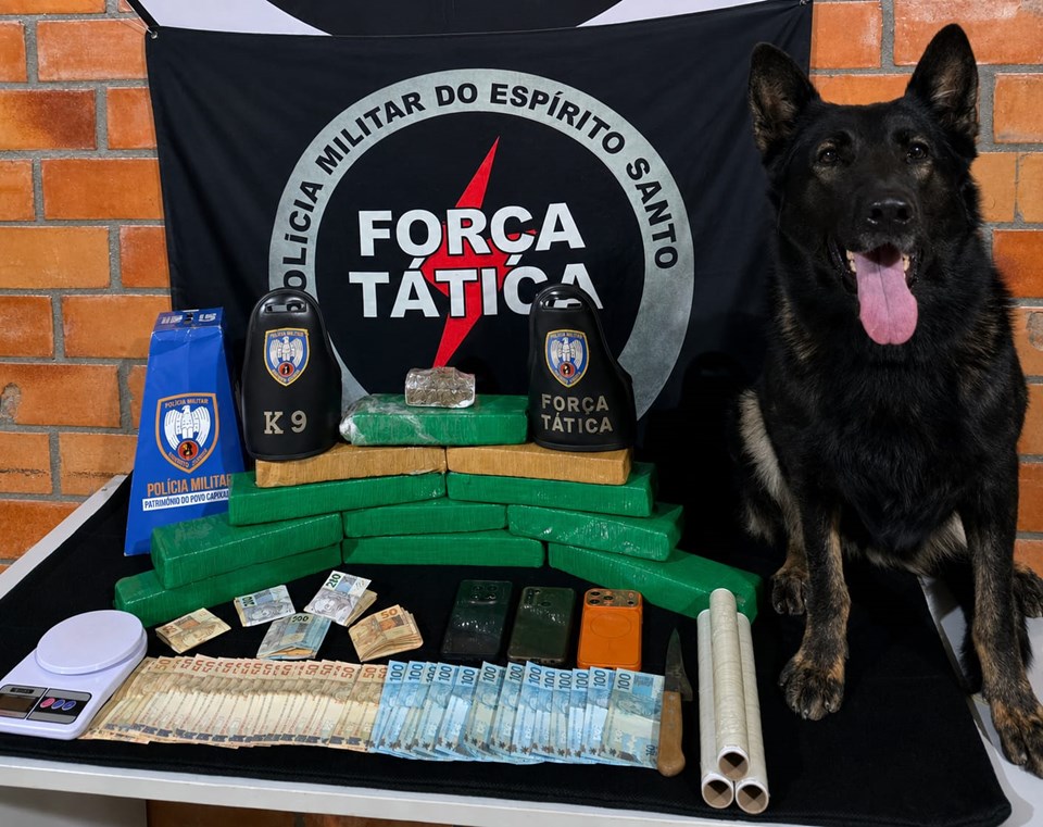 Policiais do 11º Batalhão apreendem quase 10 quilos de maconha em Água Doce do Norte