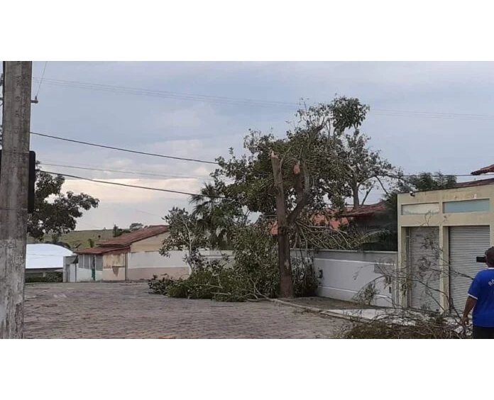 Tempestade causa estragos e derruba árvore em rodovia em Baixo Guandu